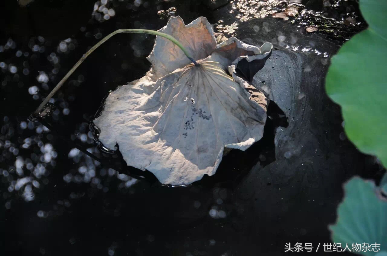 绉嬪垎璁╀汉闅惧彈,绉嬪垎蹇冮唹