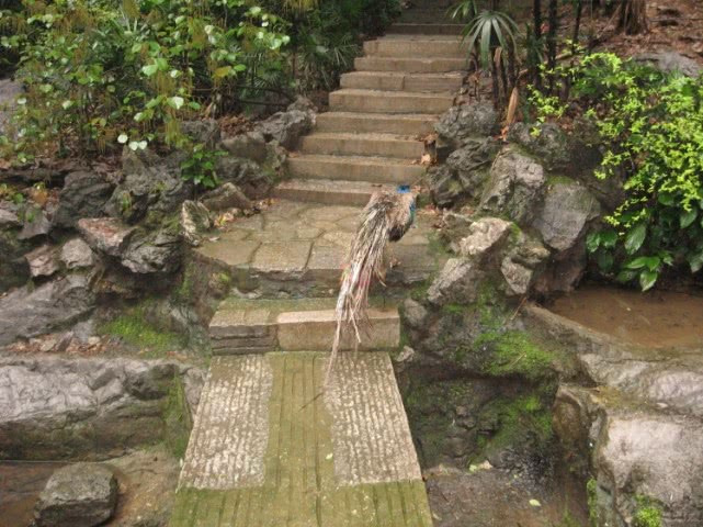 桂林市叠彩山攻略,桂林市叠彩山看风景