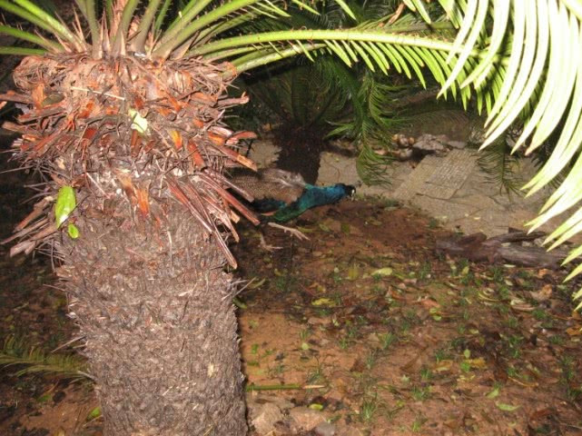 桂林市叠彩山攻略,桂林市叠彩山看风景