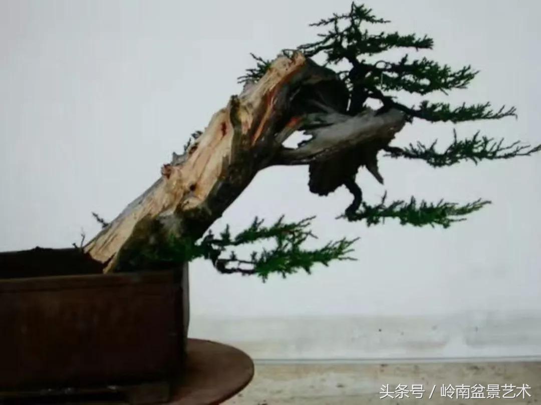 神来之笔绘画作品欣赏,神来之笔书法作品大全