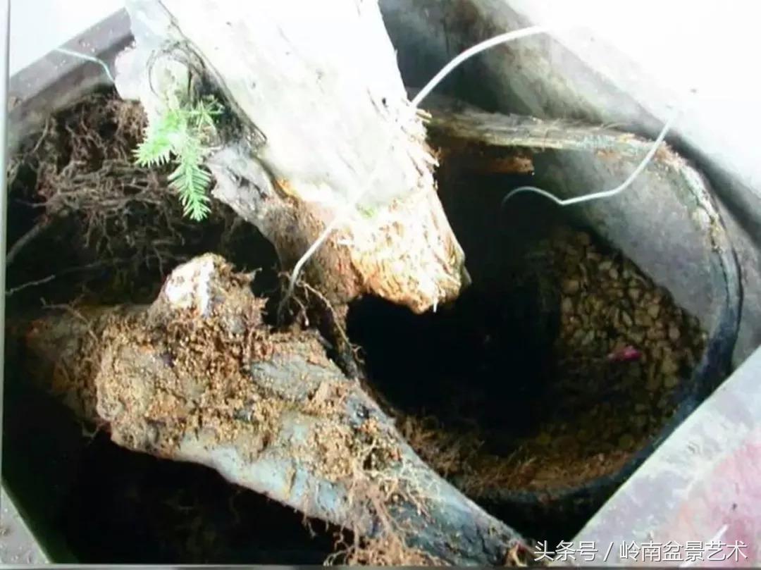 神来之笔绘画作品欣赏,神来之笔书法作品大全