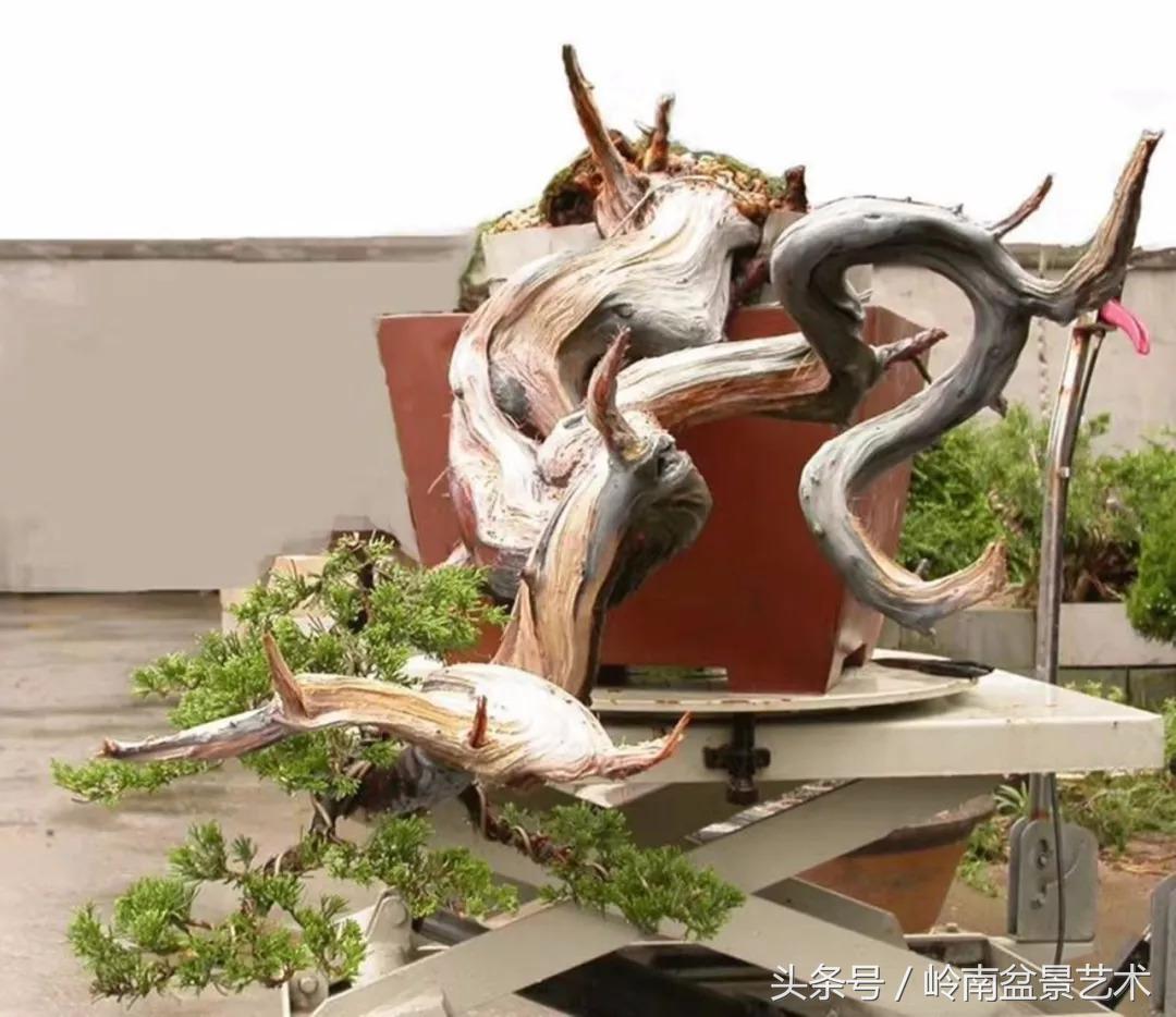 神来之笔绘画作品欣赏,神来之笔书法作品大全