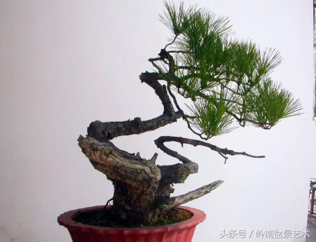 神来之笔绘画作品欣赏,神来之笔书法作品大全