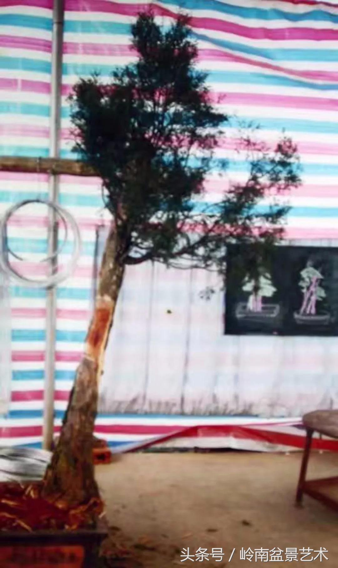 神来之笔绘画作品欣赏,神来之笔书法作品大全