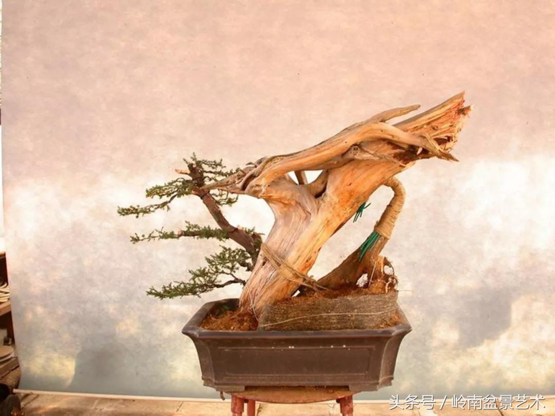 神来之笔绘画作品欣赏,神来之笔书法作品大全