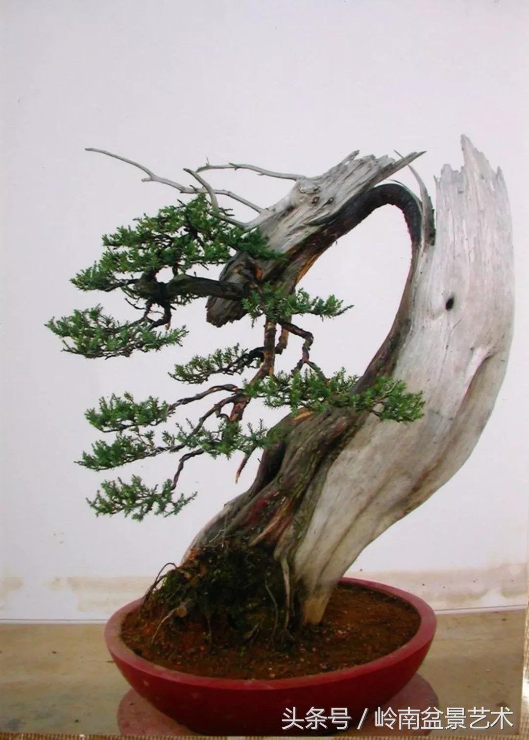 神来之笔绘画作品欣赏,神来之笔书法作品大全