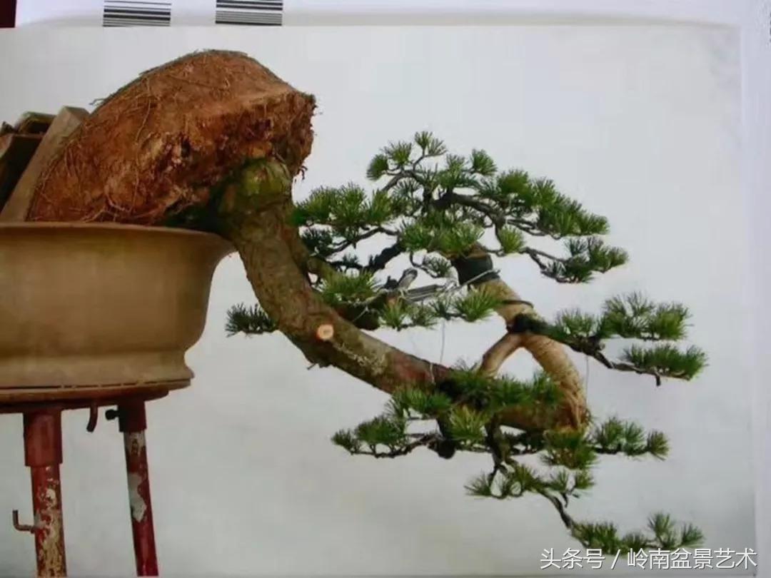 神来之笔绘画作品欣赏,神来之笔书法作品大全