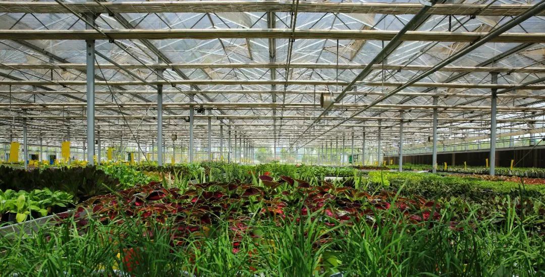 丰收节现场直播报道,丰收节央视新闻直播间