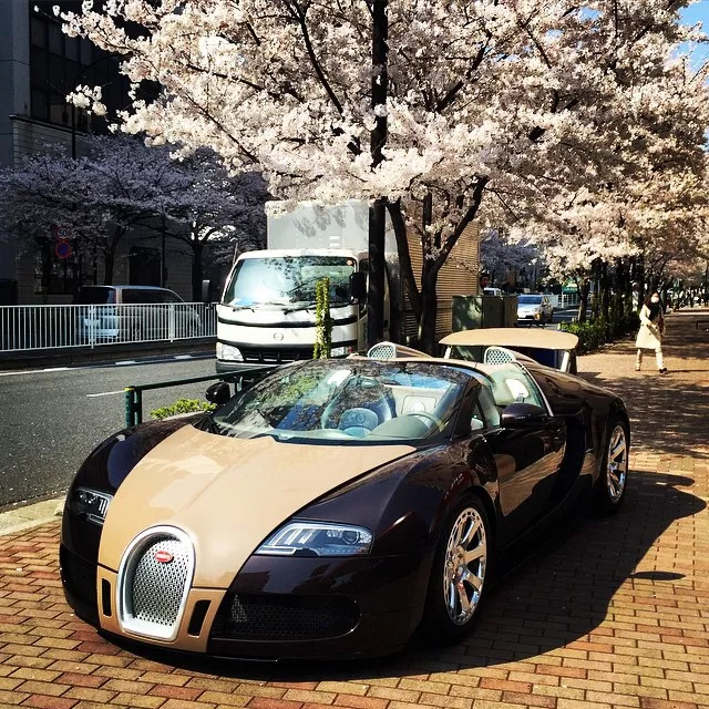 “有钱人的快乐你们想象不到！”这位日本亿万富豪，将……