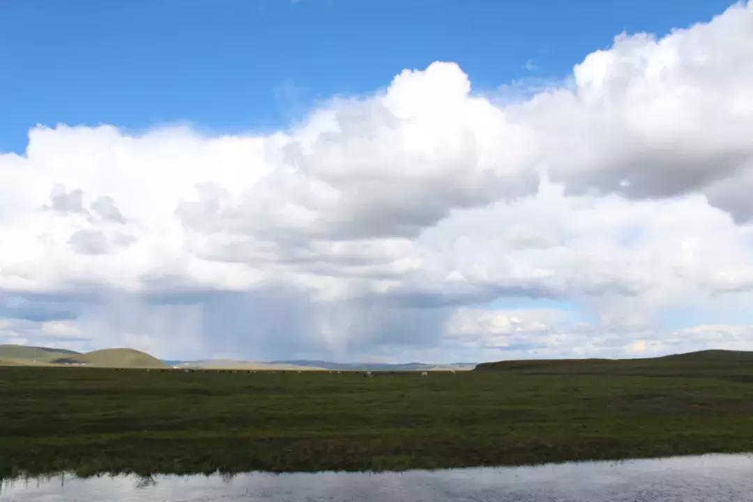 全新一代瑞虎8秘境雨林深度体验 (开19款1.6t豪华版瑞虎8自驾游)