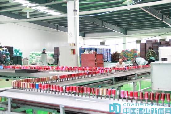 丽鹏股份深度解析,丽鹏股份趋势