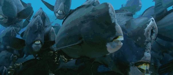 如果月球倒在地球上会是什么样呢,月球没掉的瞬间地球会发生什么