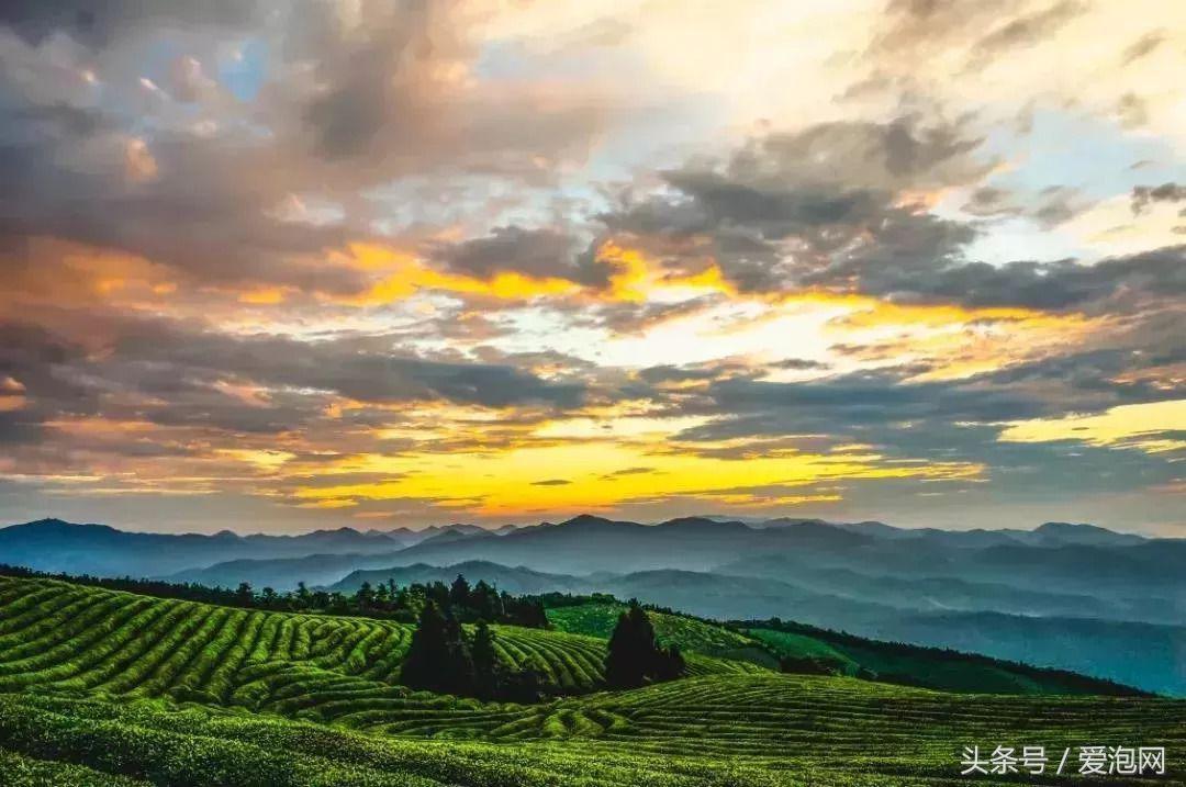 宁波森林汤泉温泉,宁波半山汤谷温泉