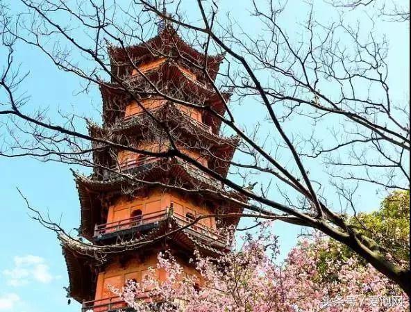 宁波森林汤泉温泉,宁波半山汤谷温泉