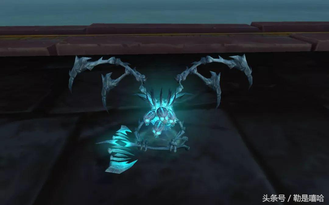 魔兽世界各种稀有宠物排名,魔兽世界稀有宠物排行榜