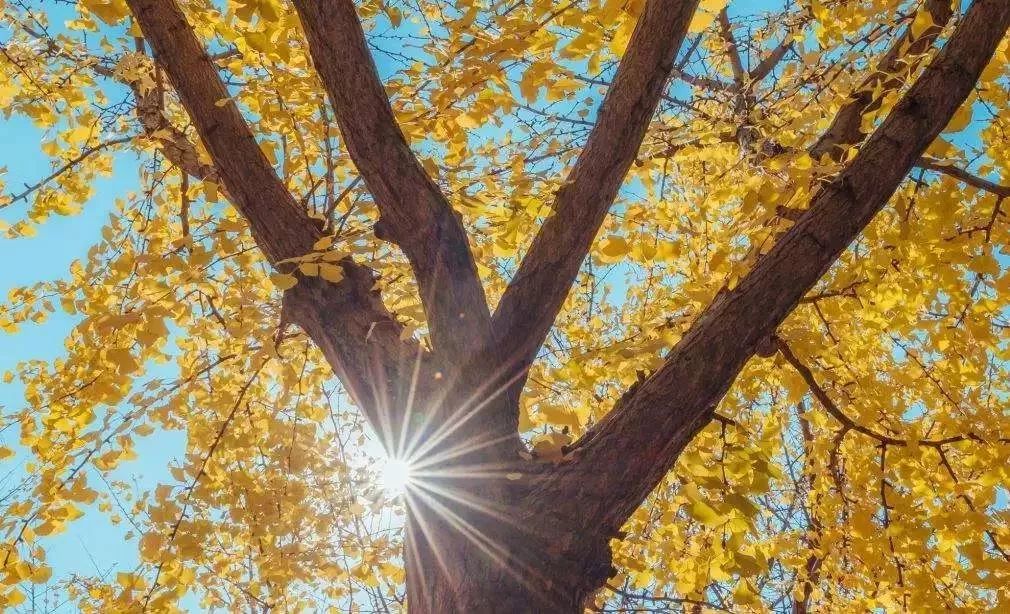 秋天适合旅游的地方易县,清西陵秋冬美景