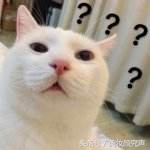 celine奢侈品避坑,celine真假不分