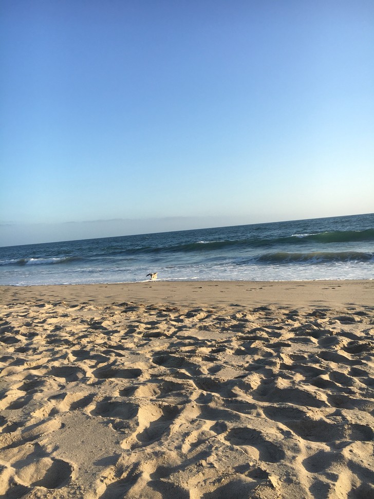 美国纽约自驾游最佳路线图,美国西部大环线自驾游攻略