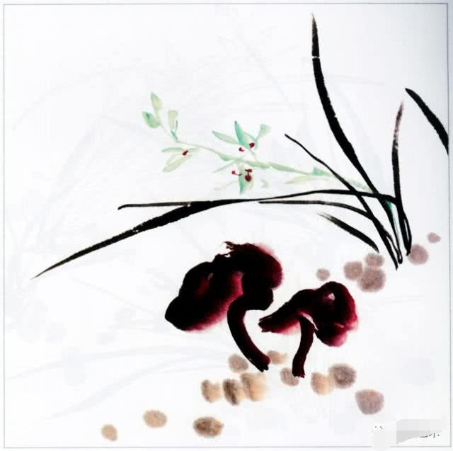 国画兰花的花头的画法,国画兰花画法小视频