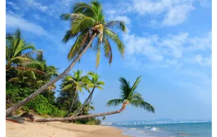 全球最大的航运集团是哪五个,世界第一大航运公司和其他公司