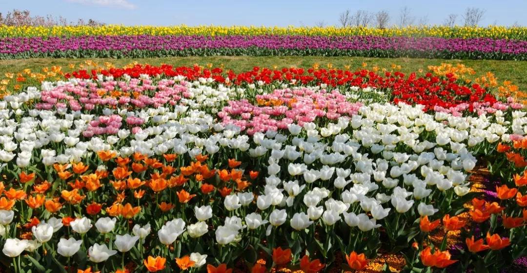 农秀才：农业农村部推荐100个休闲农业和乡村旅游精品景点线路