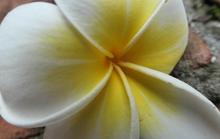 leica徕卡c-lux2多少钱,徕卡clux变焦