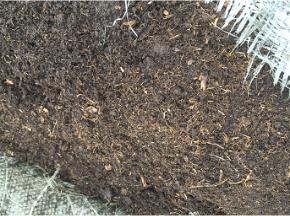 蓝莓土壤加醋能变酸吗,蓝莓土壤改酸方法