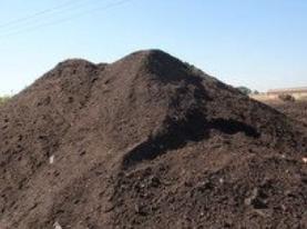 蓝莓土壤加醋能变酸吗,蓝莓土壤改酸方法