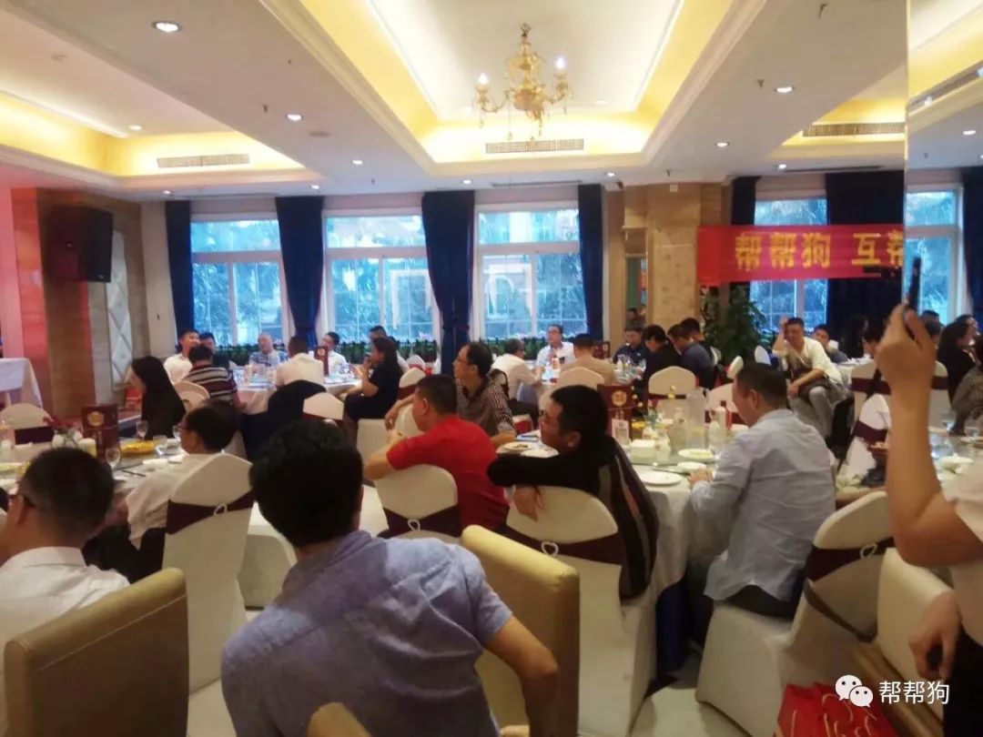 帮帮狗狗,帮帮狗