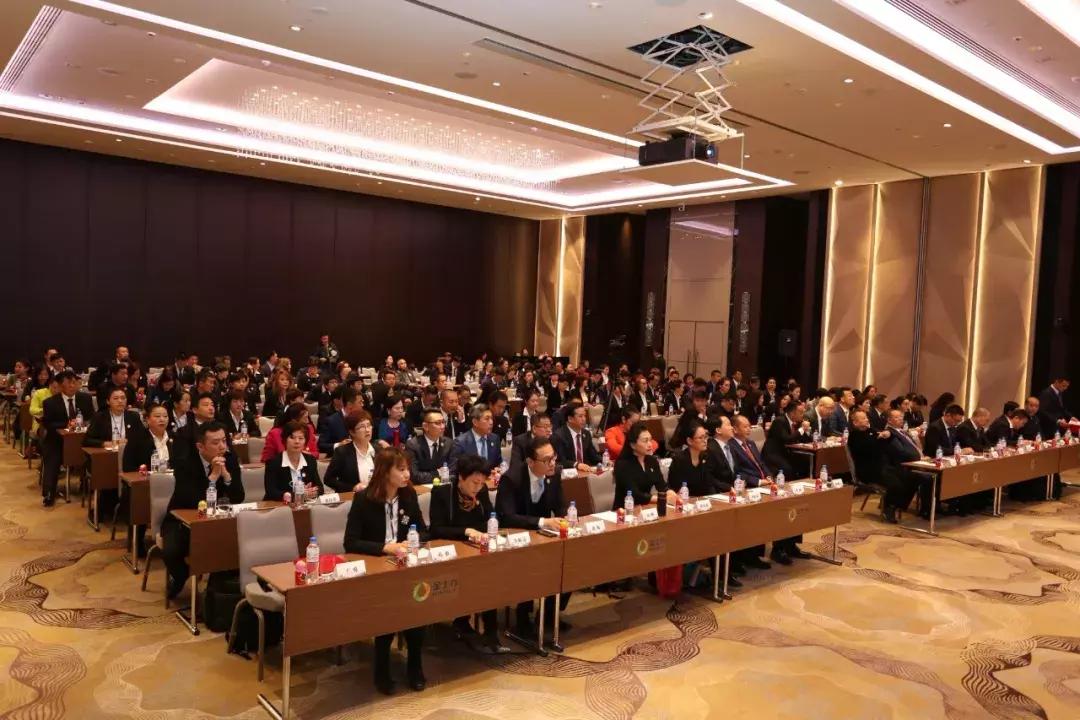 金士力俄罗斯,金士力俄罗斯之旅