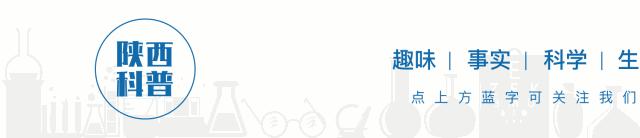 十部顶级神作9.5评分电影科幻,10部精彩科幻电影推荐