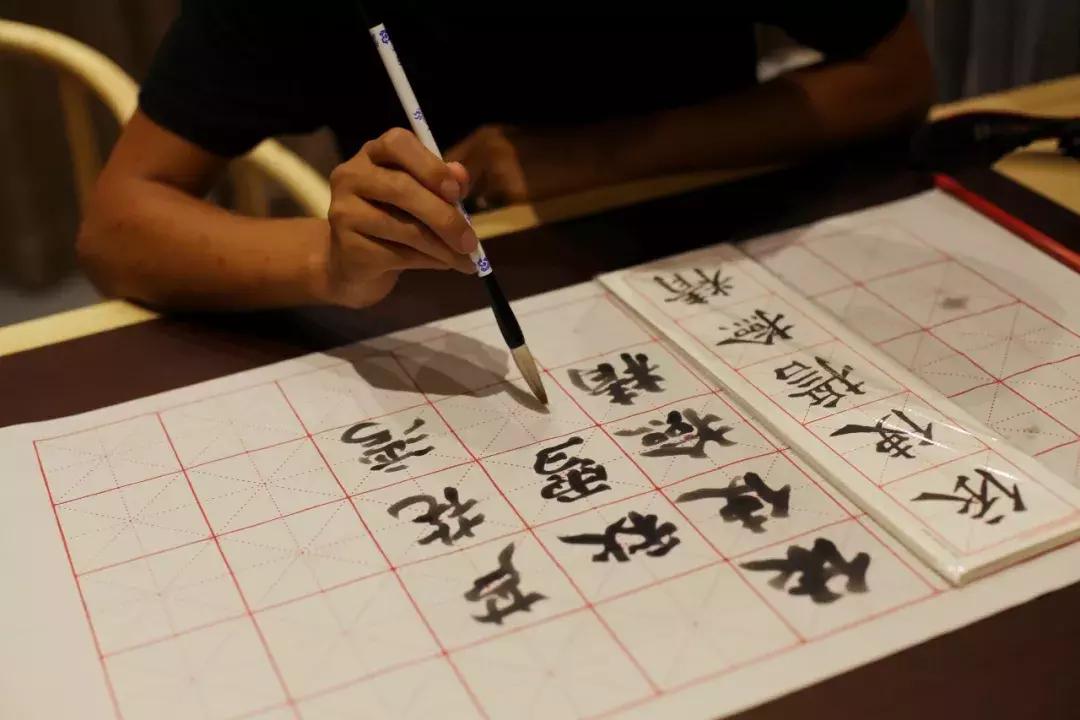 沙家浜芦苇荡游玩体验感想,沙家浜风起芦苇荡