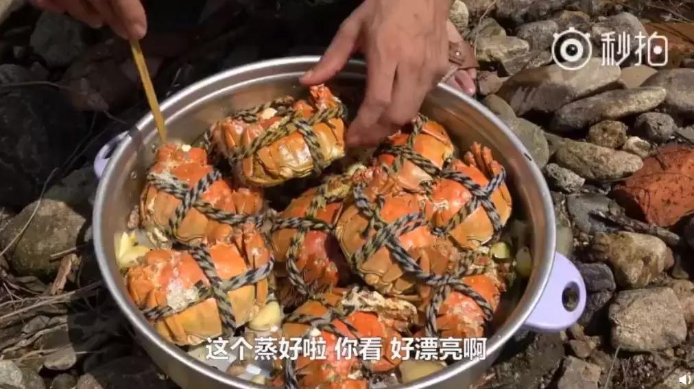 华农兄弟养竹鼠,华农兄弟养竹鼠的视频