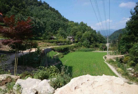 我的爸爸特别喜欢钓鱼,我的爸爸喜欢钓鱼作文二年级