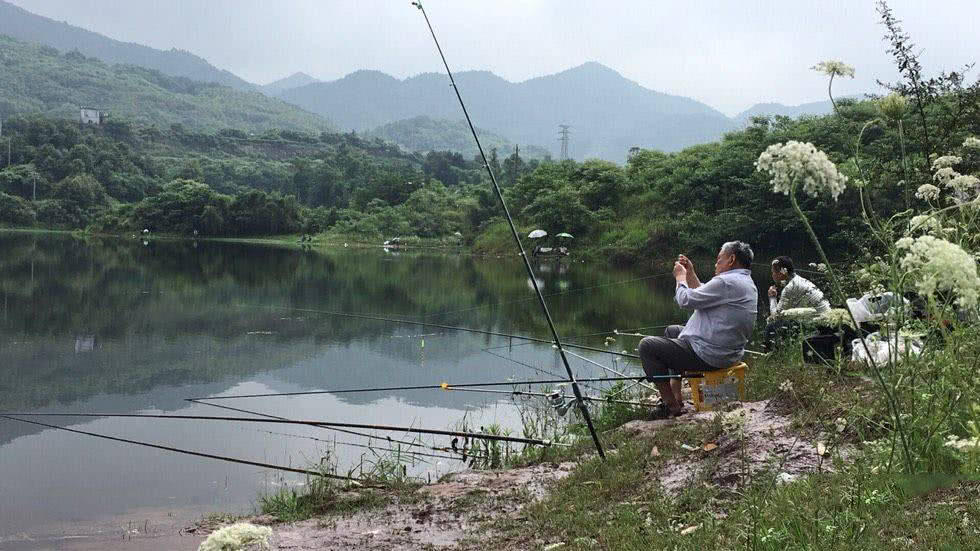 我的爸爸特别喜欢钓鱼,我的爸爸喜欢钓鱼作文二年级