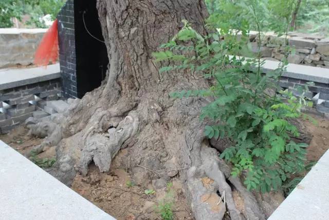 大永年大发展,大永年的夜景