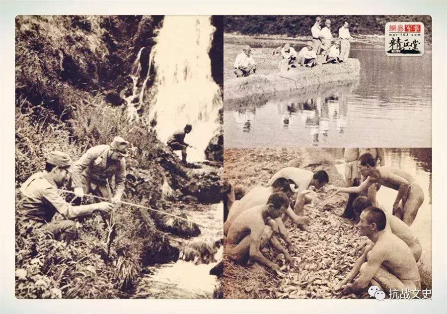 食人恶魔吃什么最好,二战时期日军的食人族