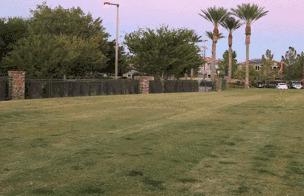 什么时候传球什么时候投球,中国足球何日出头动图