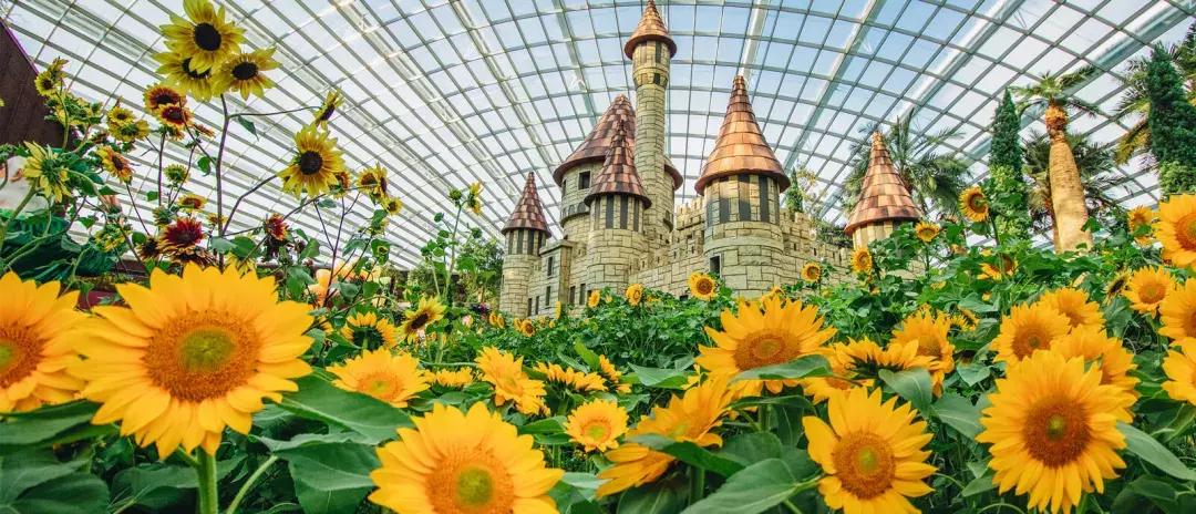 十一后再出游，轻松省出1部iPhoneXS！