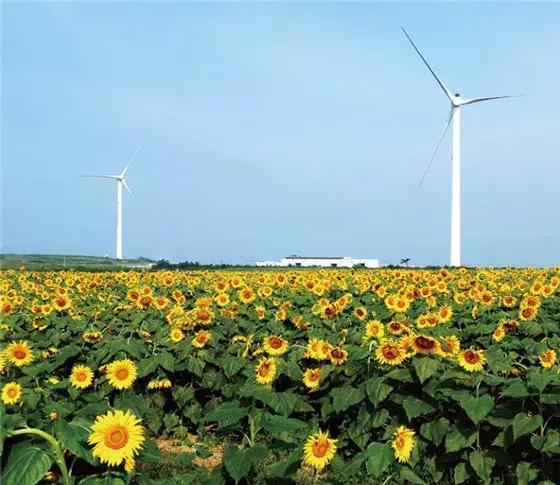 中国最美发电站,最美电厂