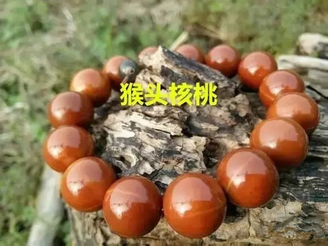 橄榄核跟猴头核桃哪个值得玩,猴头和紫金鼠哪个值得盘玩