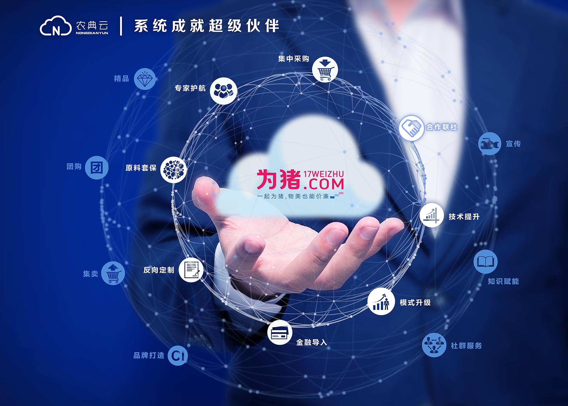 猪场赶猪技巧口诀,养猪必须知道猪的七大习性