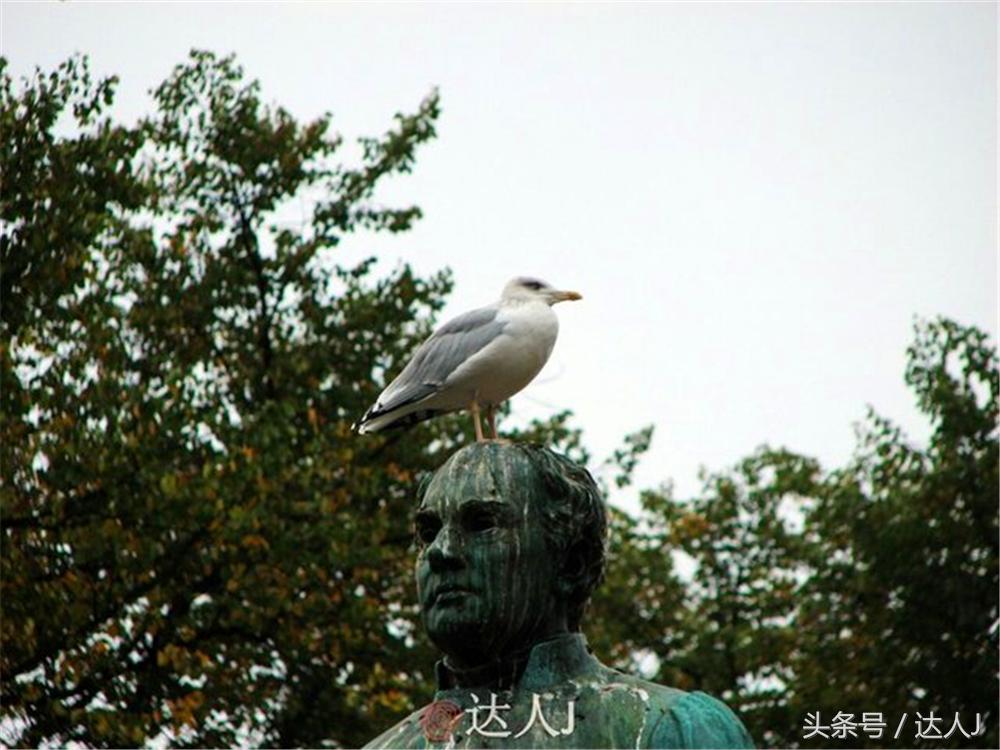 赫尔辛基是芬兰首都吗,挪威首都赫尔辛基