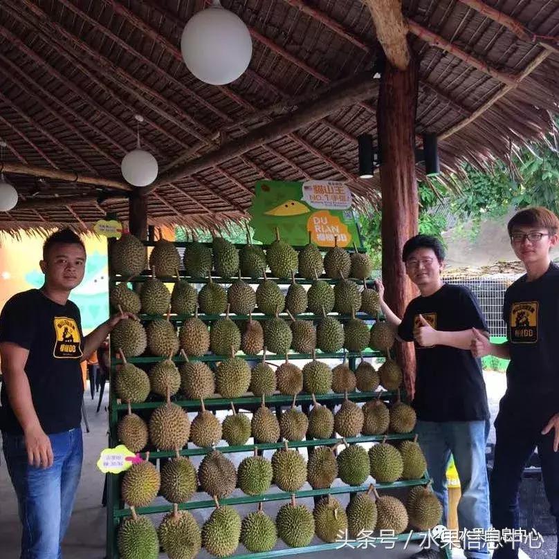 从榴莲代购起家，到64个实体销售点，他势要打造一个榴莲王国