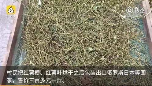 身价突然暴涨了,农村什么东西能卖100多元一斤