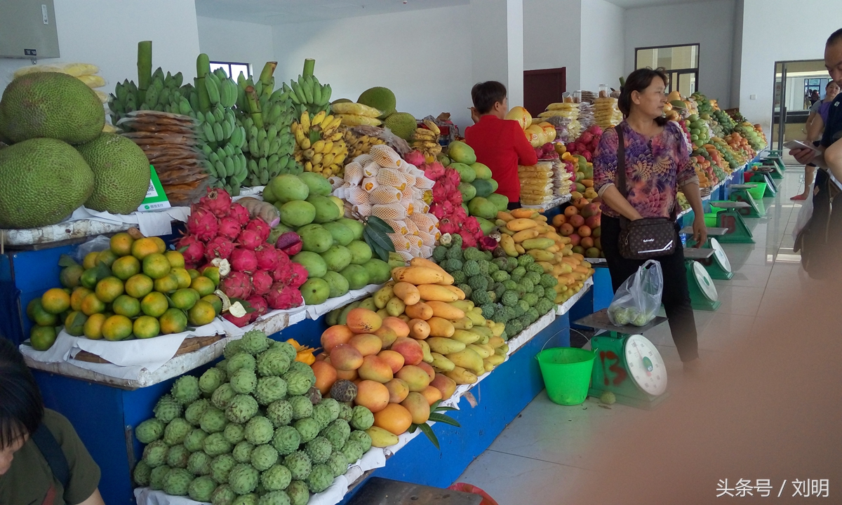 蚂蚁旅游专线云南之旅,蚂蚁旅游行