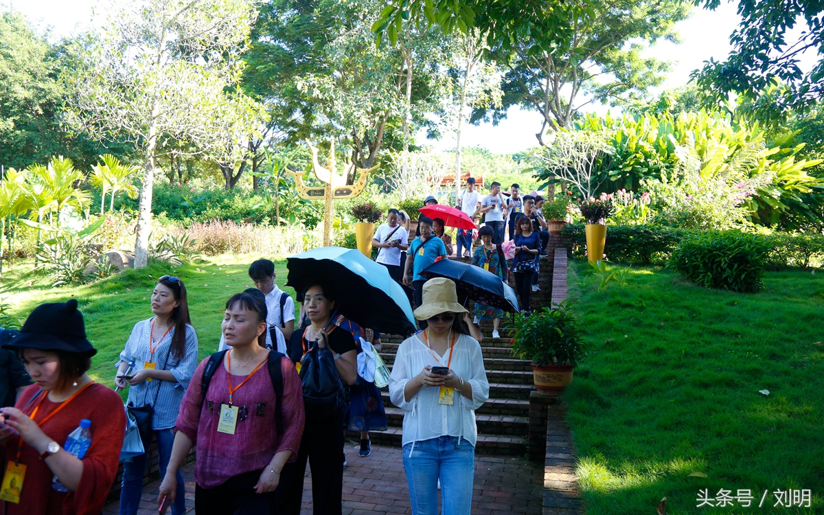 蚂蚁旅游专线云南之旅,蚂蚁旅游行