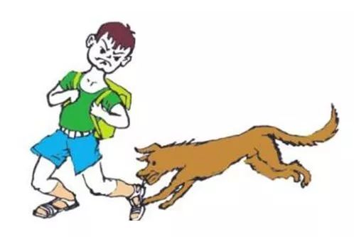 7岁男童被狗咬狂犬病发作死亡,狗咬伤小孩打狂犬疫苗后死亡