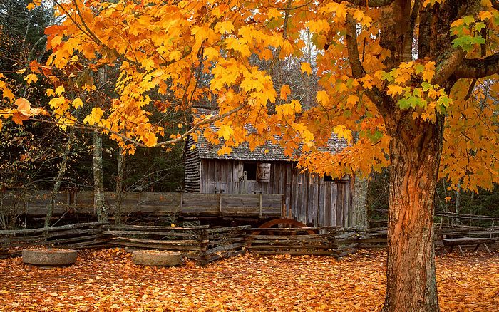 ps人物背景素材,ps背景图片素材大全