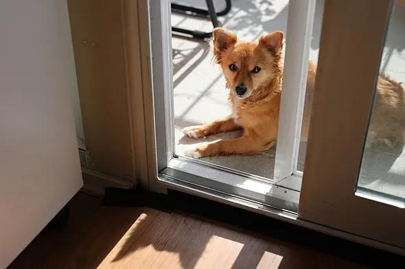 佳能eosr5现在还值不值得买,佳能eosr5配置及价格